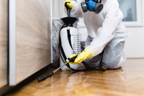 Best Local Pest Control Services  in Pleasanton, TX