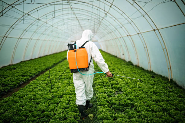 Best Commercial Pest Control Services  in Pleasanton, TX