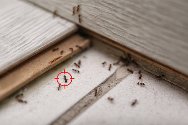 Best Wildlife Control Services  in Pleasanton, TX