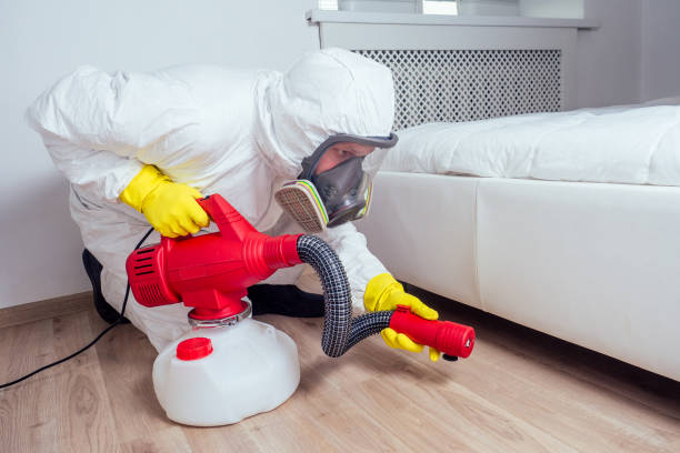 Best Pest Removal Services  in Pleasanton, TX