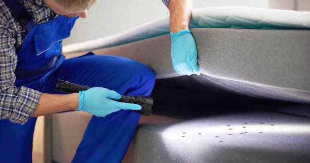 Best Affordable Pest Control Services  in Pleasanton, TX