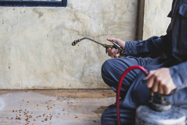 Best Best Pest Control Companies  in Pleasanton, TX